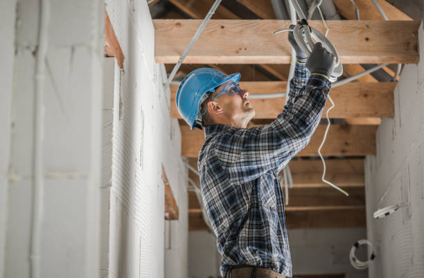 Best Local Electrician Companies  in Geneseo, IL