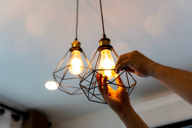 Best Licensed Electrician  in Geneseo, IL