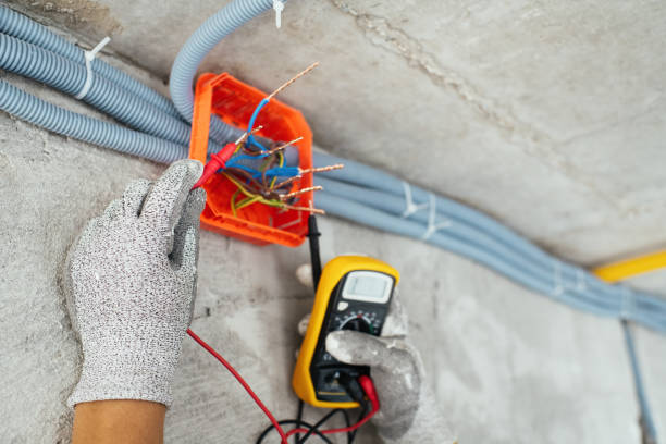 Best Electrical Upgrades for Homes  in Geneseo, IL